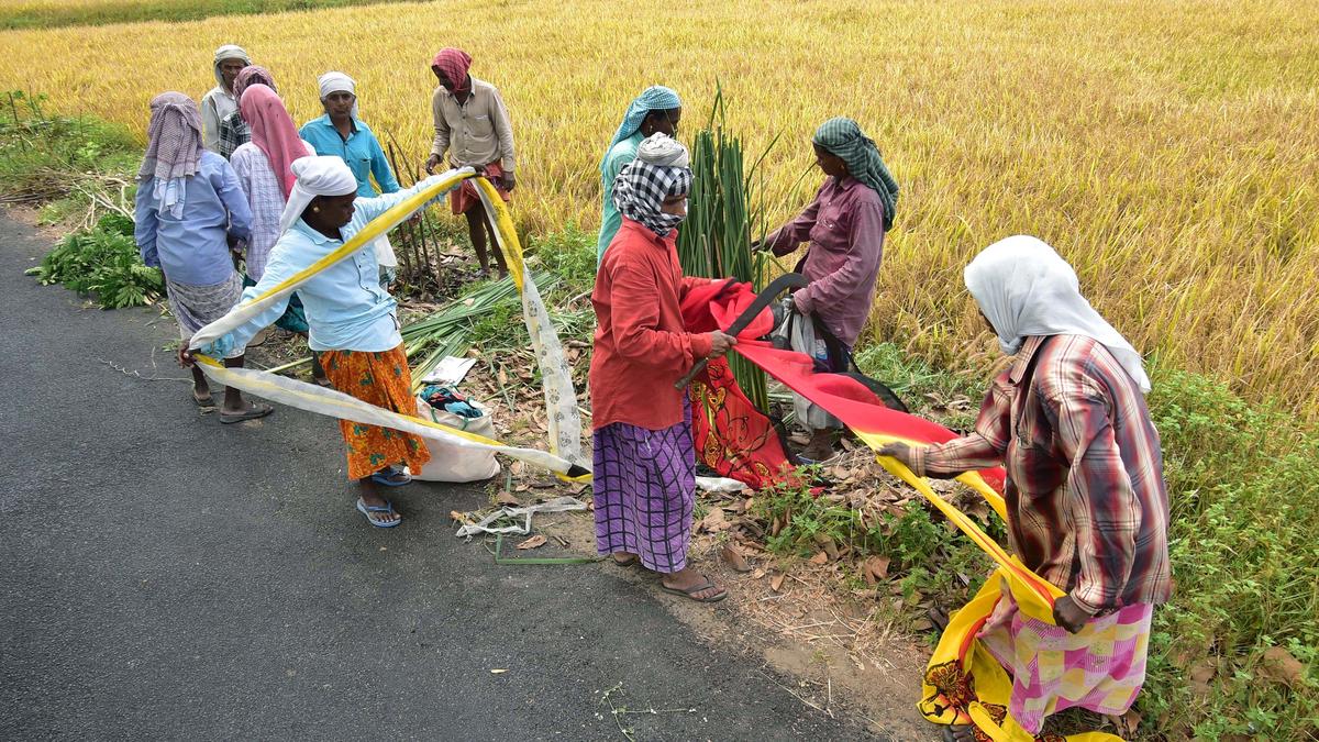 The panchayati raj movement is in distress