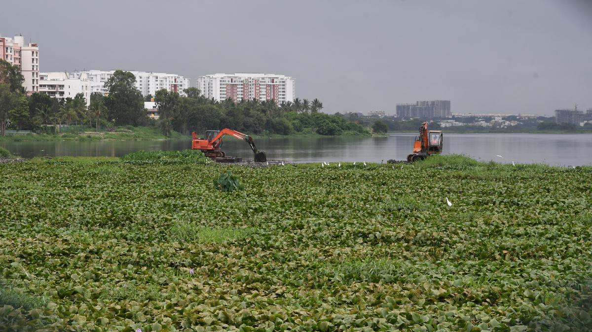 Karnataka Governor returns Bill to reduce buffer zone of lakes, canals,  drains - The Hindu