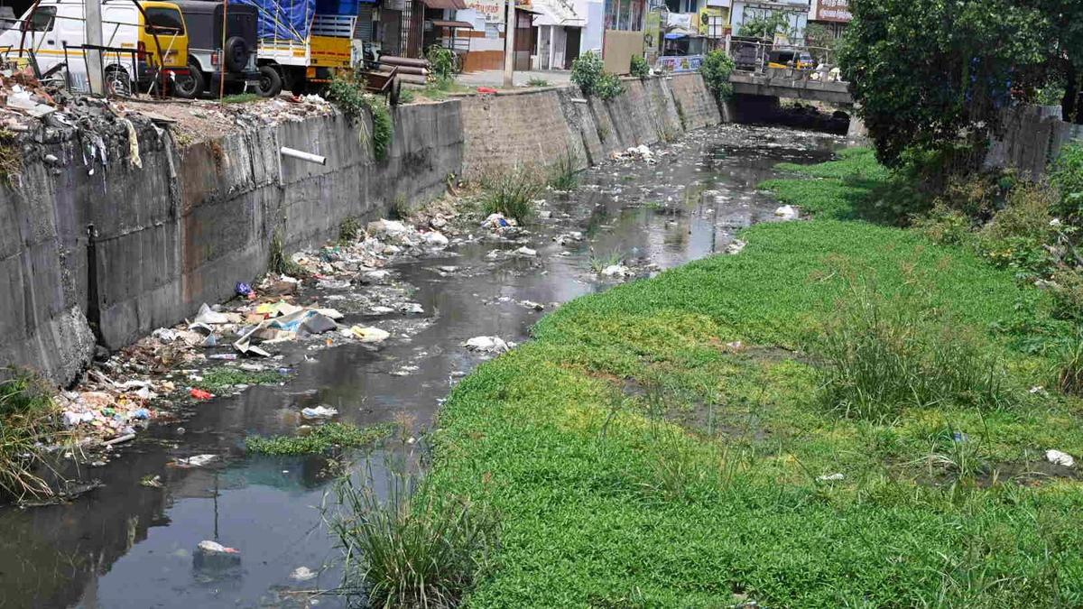 टीएन विधानसभा चुनाव 2026: सेनगोट्टैयन के एआईएडीएमके से बाहर निकलने के बाद फोकस में गोबिचेट्टीपलायम