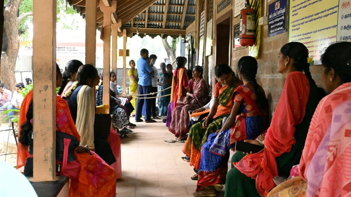 Sittilingi: a tribal valley’s inspiring success story
Premium