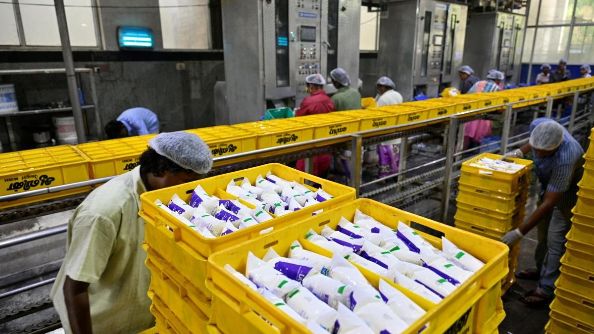 Extreme heat tests India's record milk production