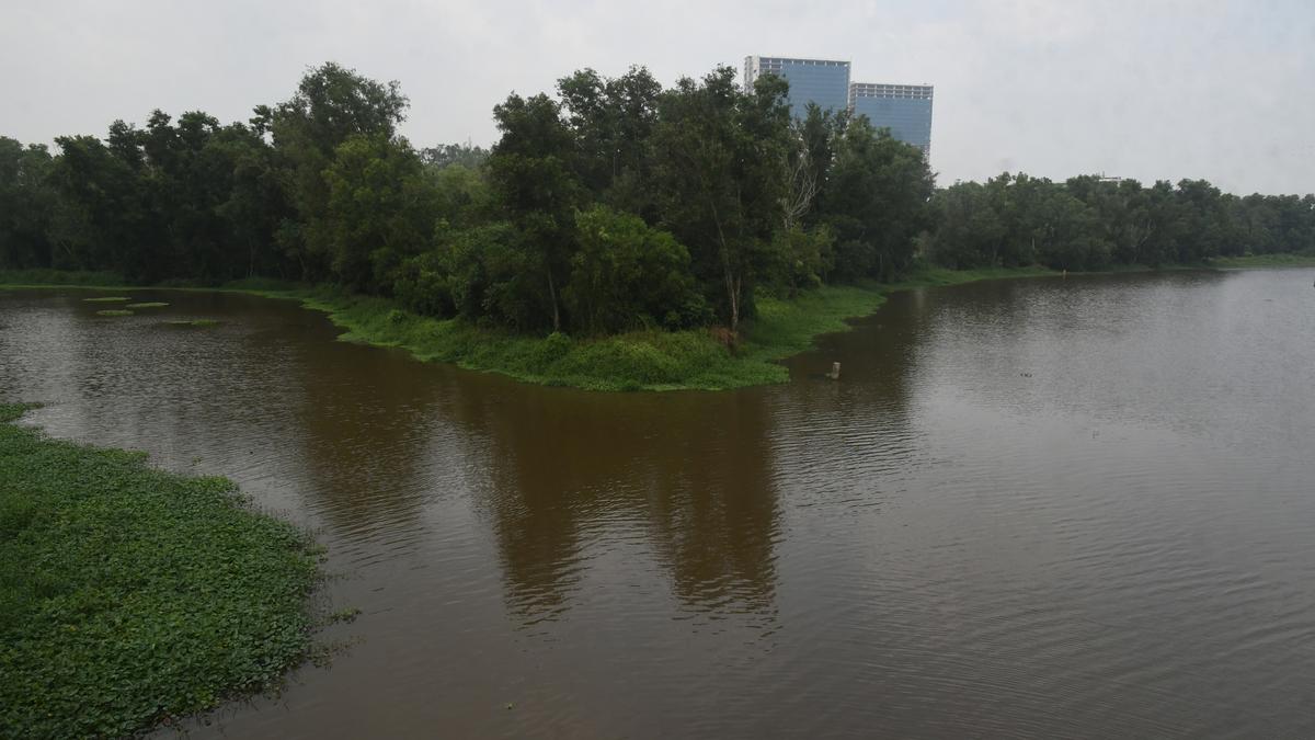 High total coliform level detected on Manakkakadavu stretch of Kadambrayar