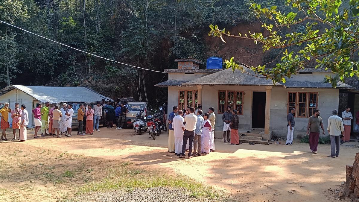 Search on for man-eater tiger at Manathavady in Wayanad