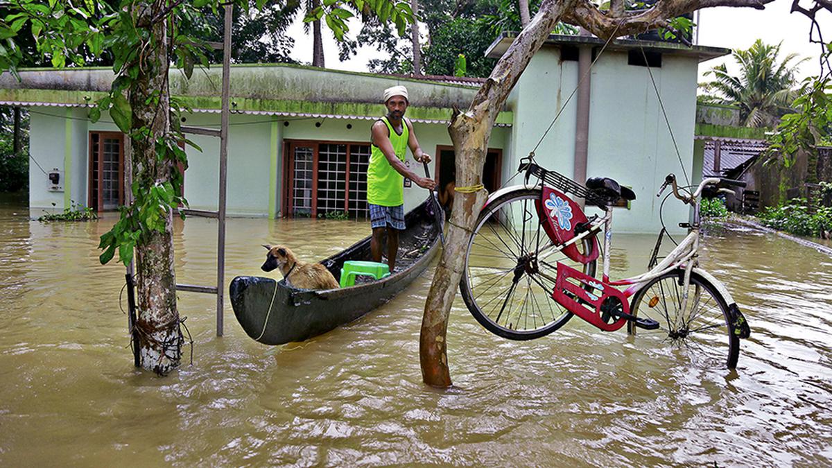 The Malayali diaspora’s relief efforts during the Kerala floods
Premium