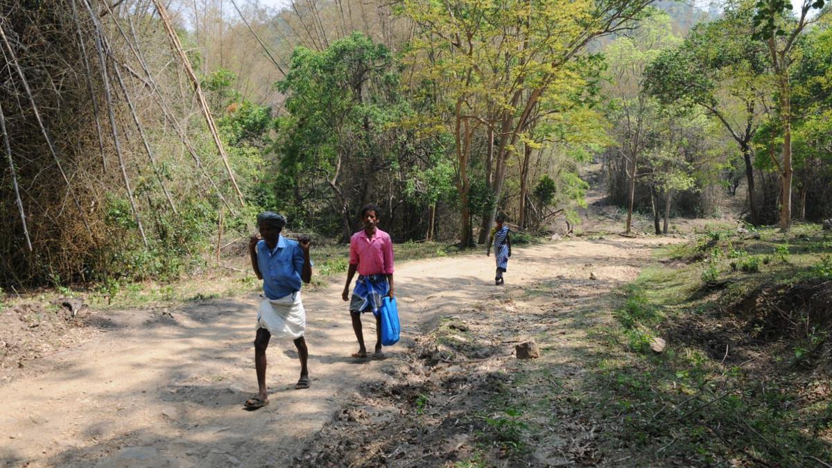 Delay in laying road to village in Erode’s Bargur Hills irks residents