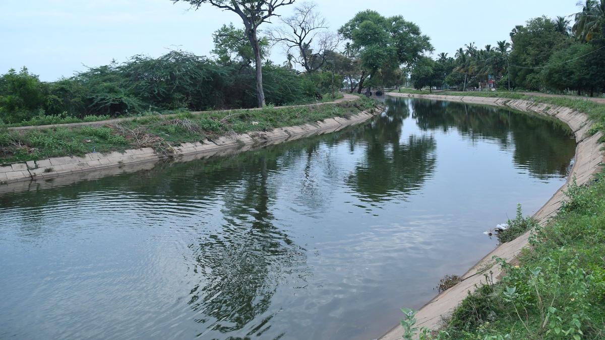 Cry for Vaigai water gets louder in single crop areas