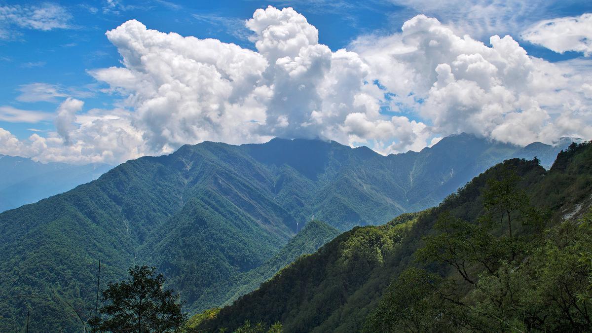 A treasure trove: field notes from the forests of Arunachal Pradesh