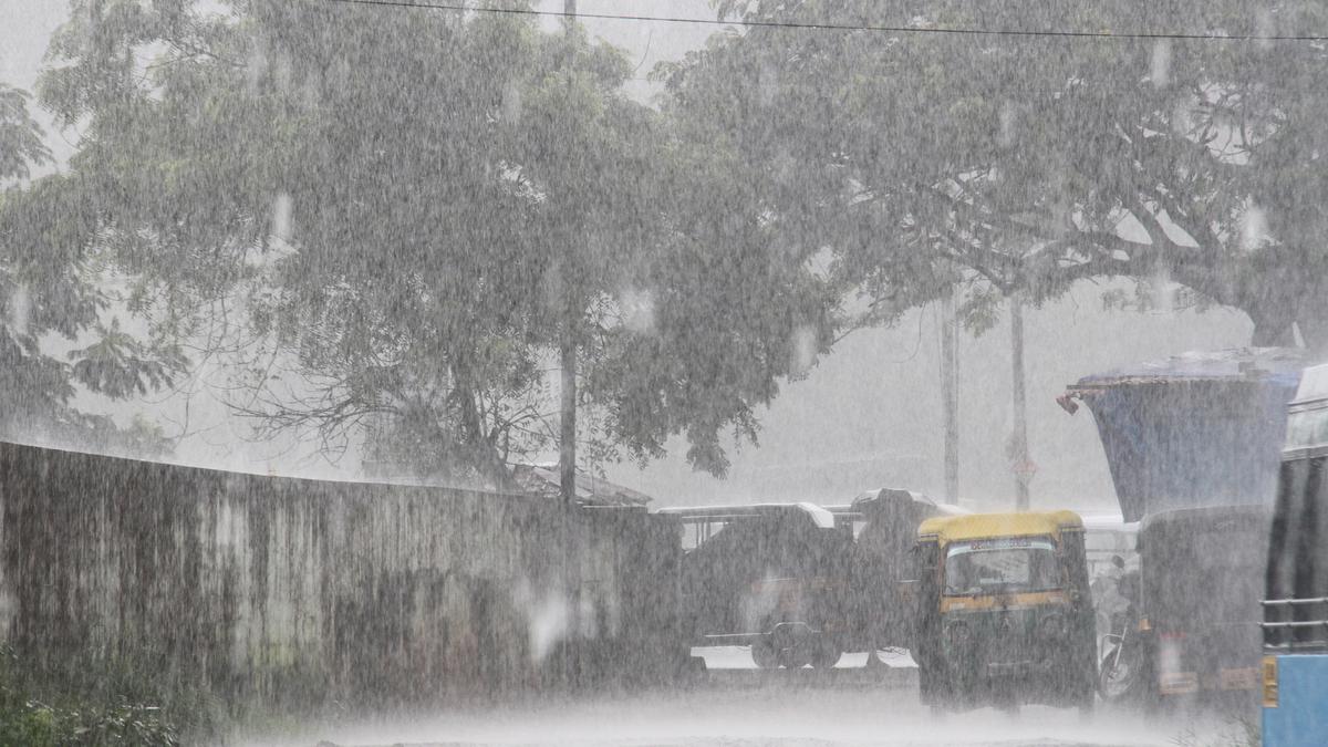 Kerala rains: IMD warns of heavy rainfall and gusty winds; red alert for five districts
