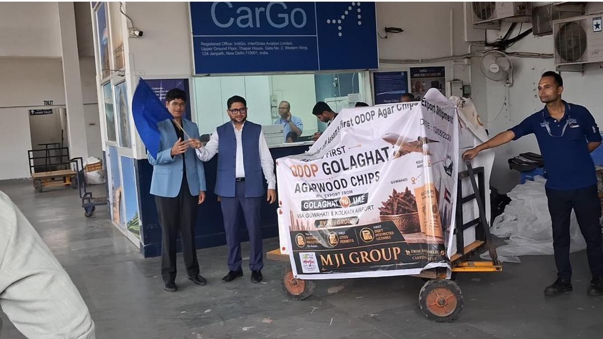 Assam ships first legal agarwood chips to West Asia