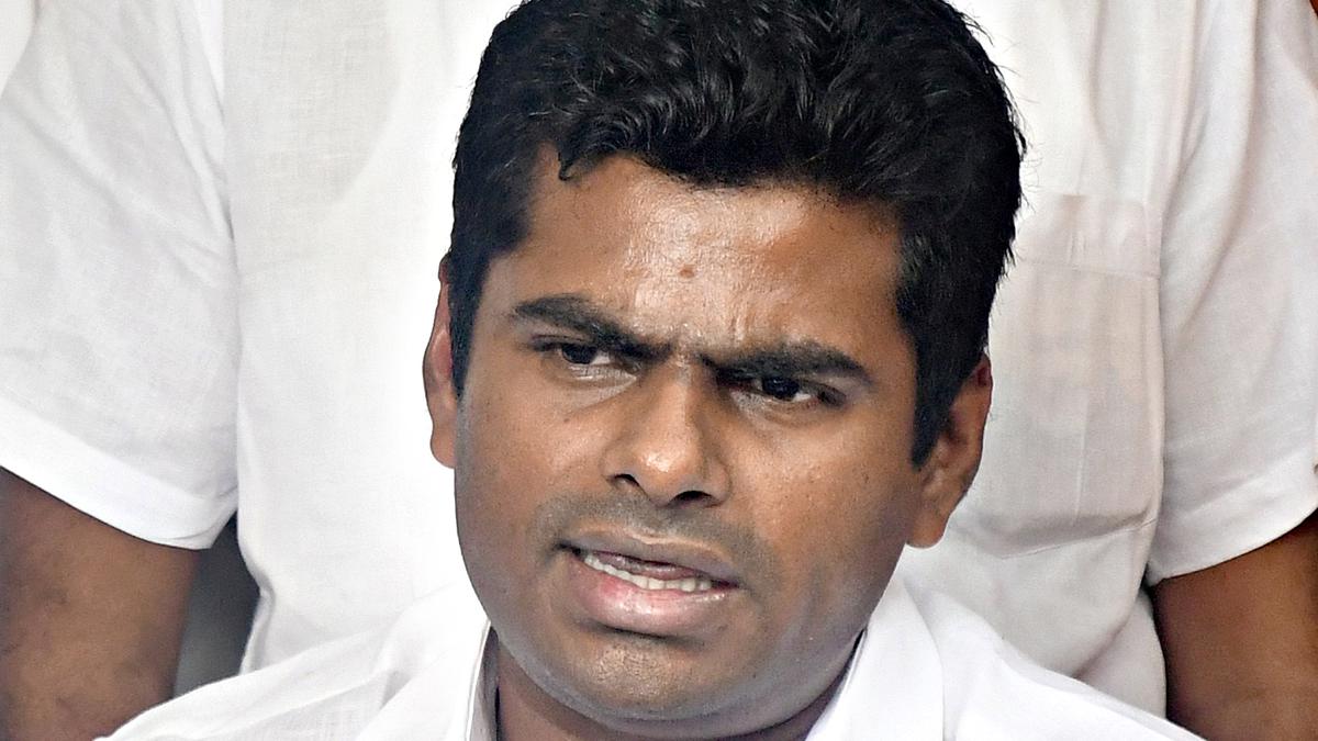 Annamalai seeks Jaishankar’s help in bringing back body of Tamil Nadu youth shot by cops in Australia