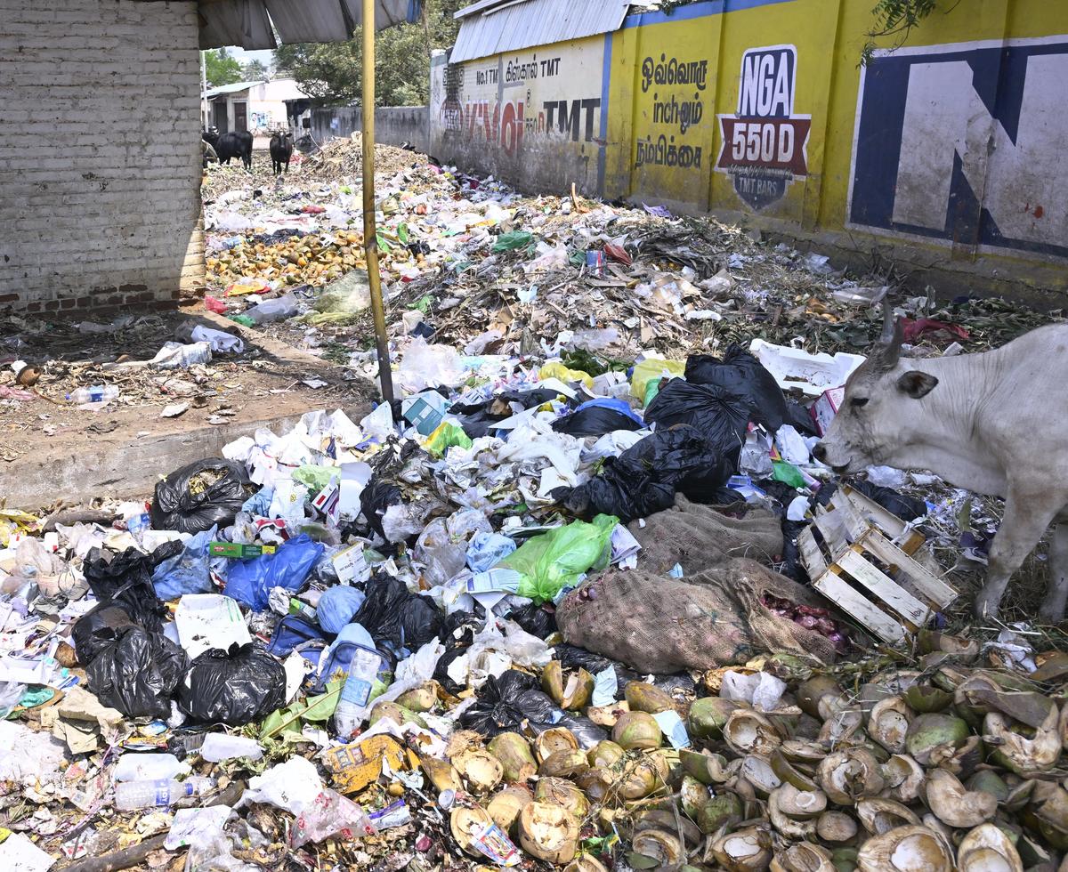 thehindu.com - C. Palanivel Rajan - Traders aghast at dumping of medical waste inside Mattuthavani vegetable market