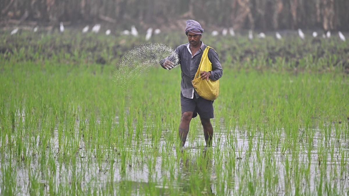 Consumer panel orders power company to pay ₹10 lakh to Nagpur farmer for crop damage