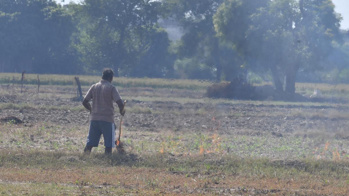 NGT issues notice to Punjab CS, CPCB on air pollution caused by stubble burning
