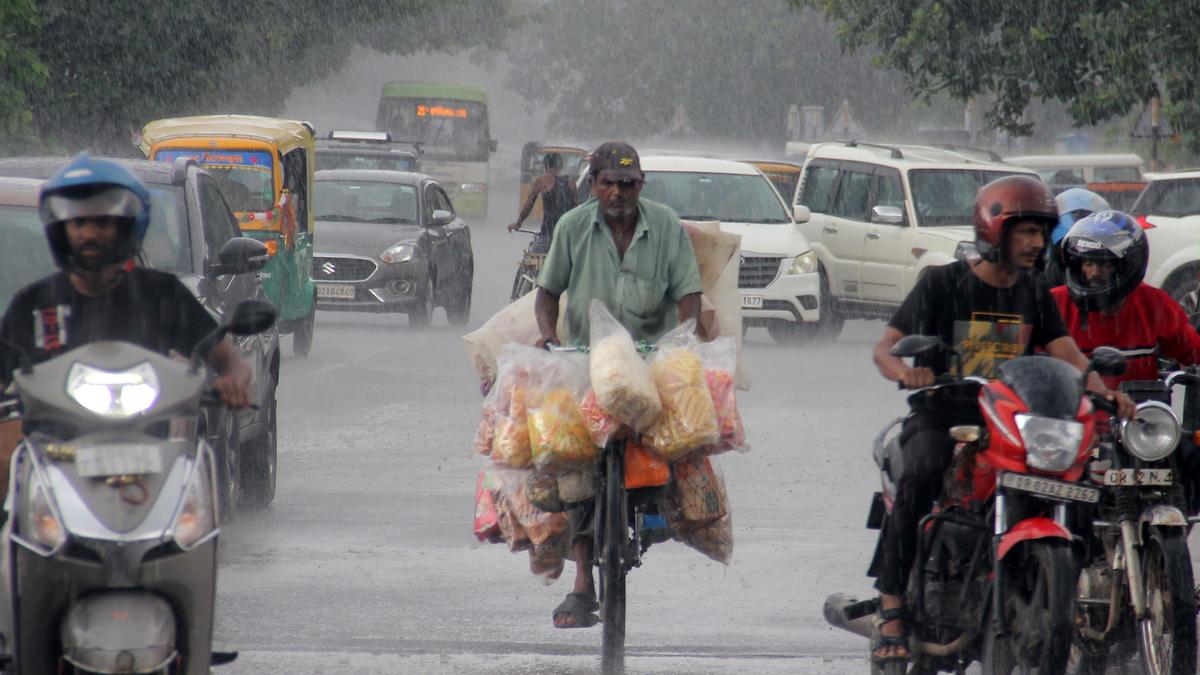 IMD forecasts heavy rains in Odisha as low pressure area intensifies into depression