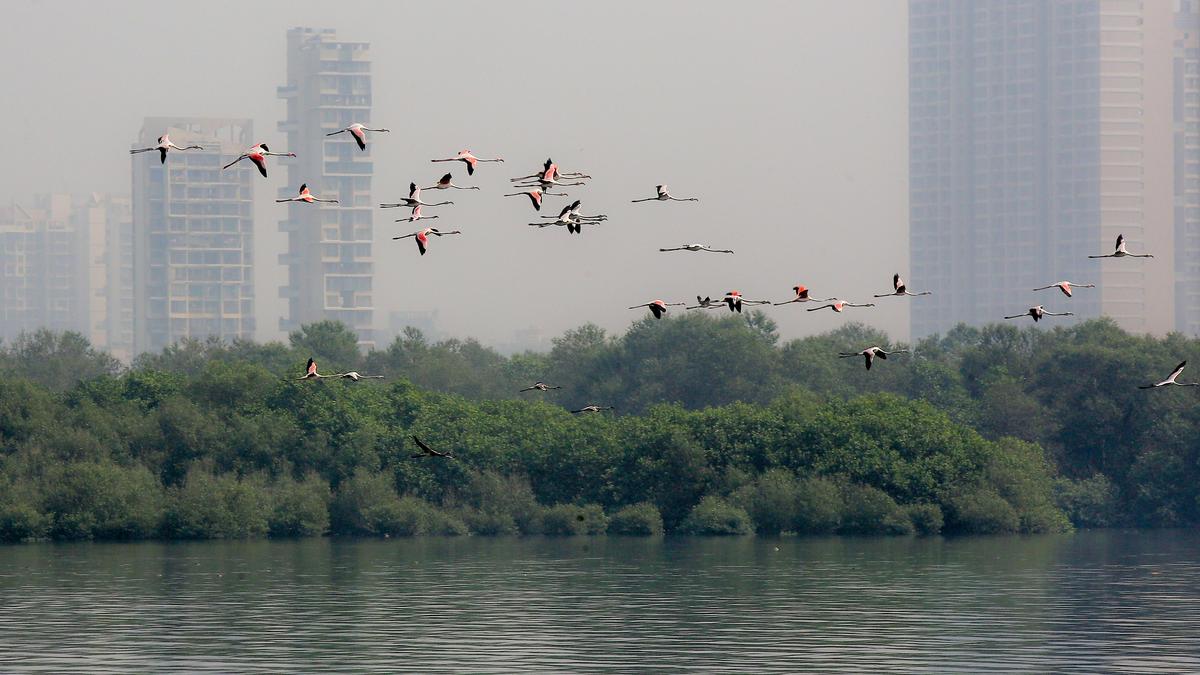 Maharashtra completes documentation of over 23,000 wetlands