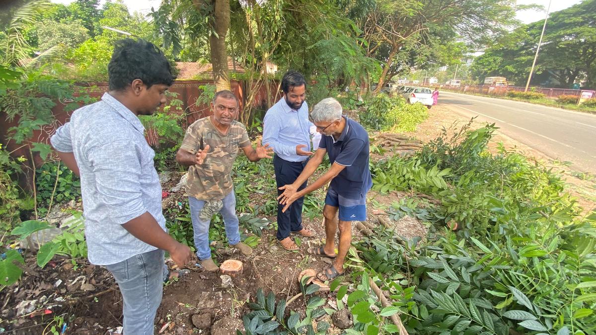 Amid protest by greens, NHAI temporarily stops cutting trees between KPT and Nanthoor junctions