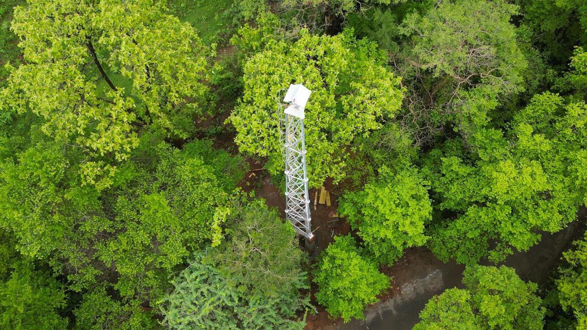 Trial run of AI-based early warning system near Coimbatore proves promising as field staff save elephants