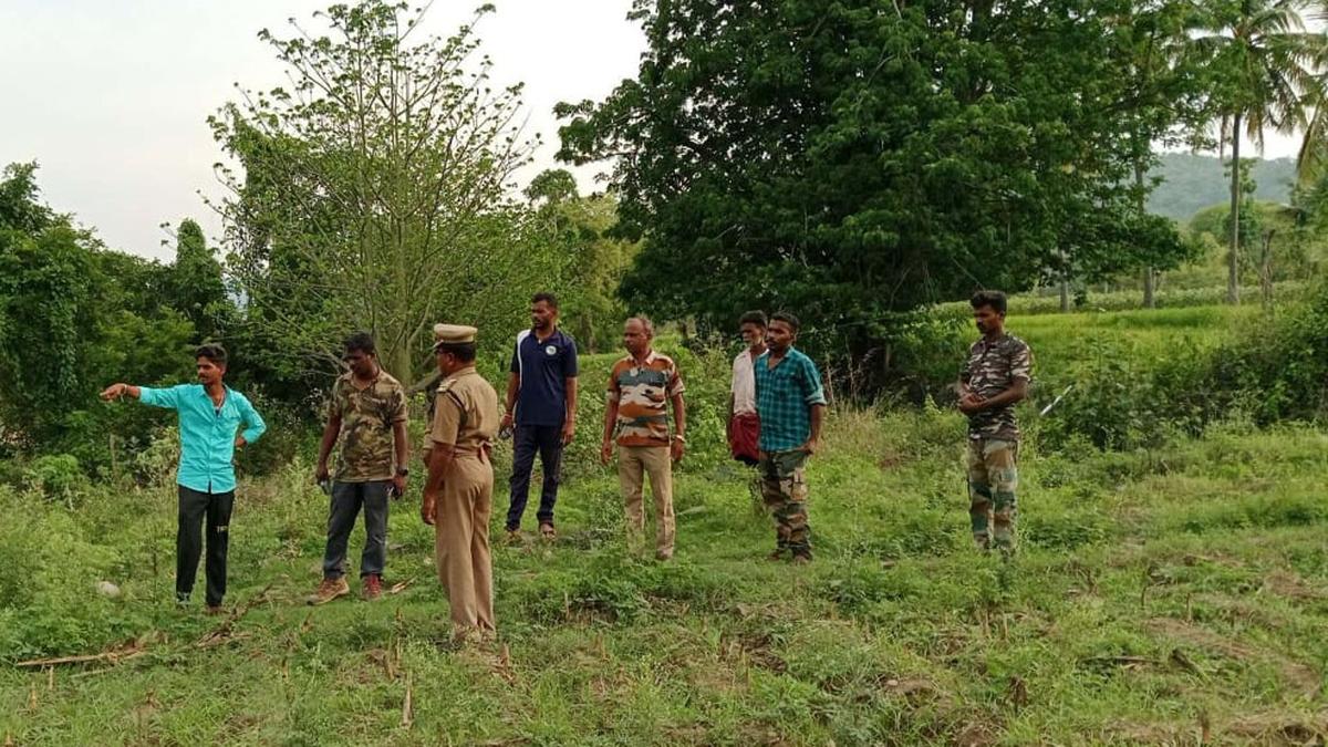 Search continues for wild elephant Karuppan in all forest ranges of Erode district