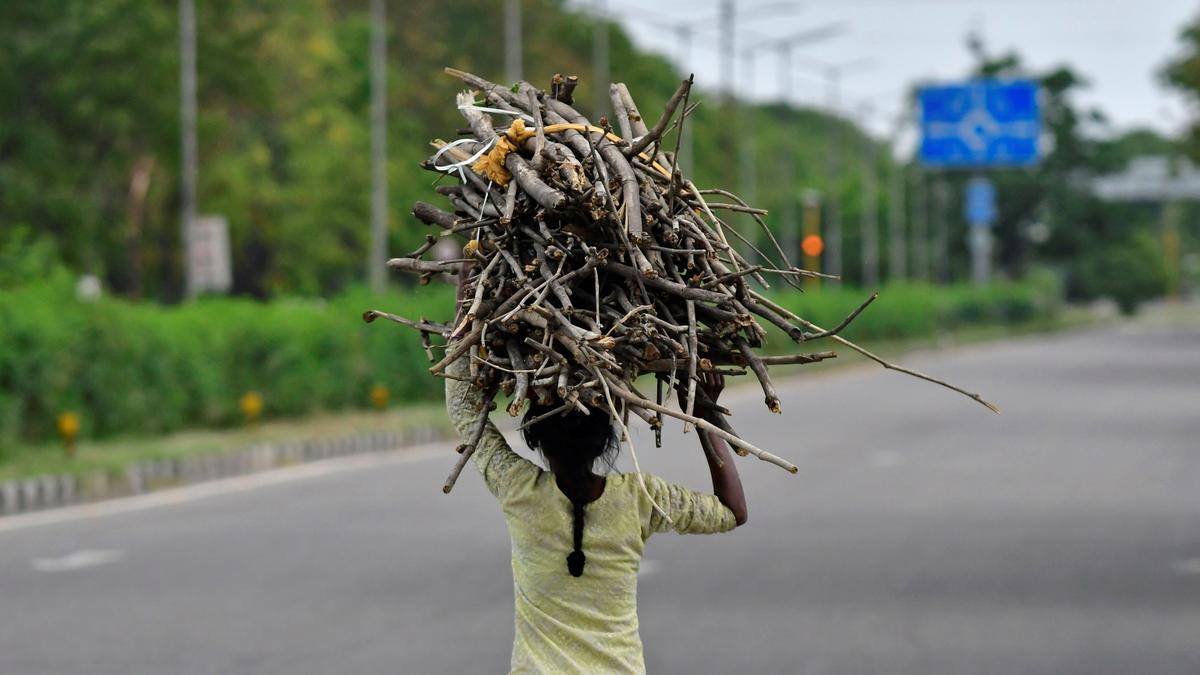 KFD patient discharged from hospital in Udupi in Karnataka