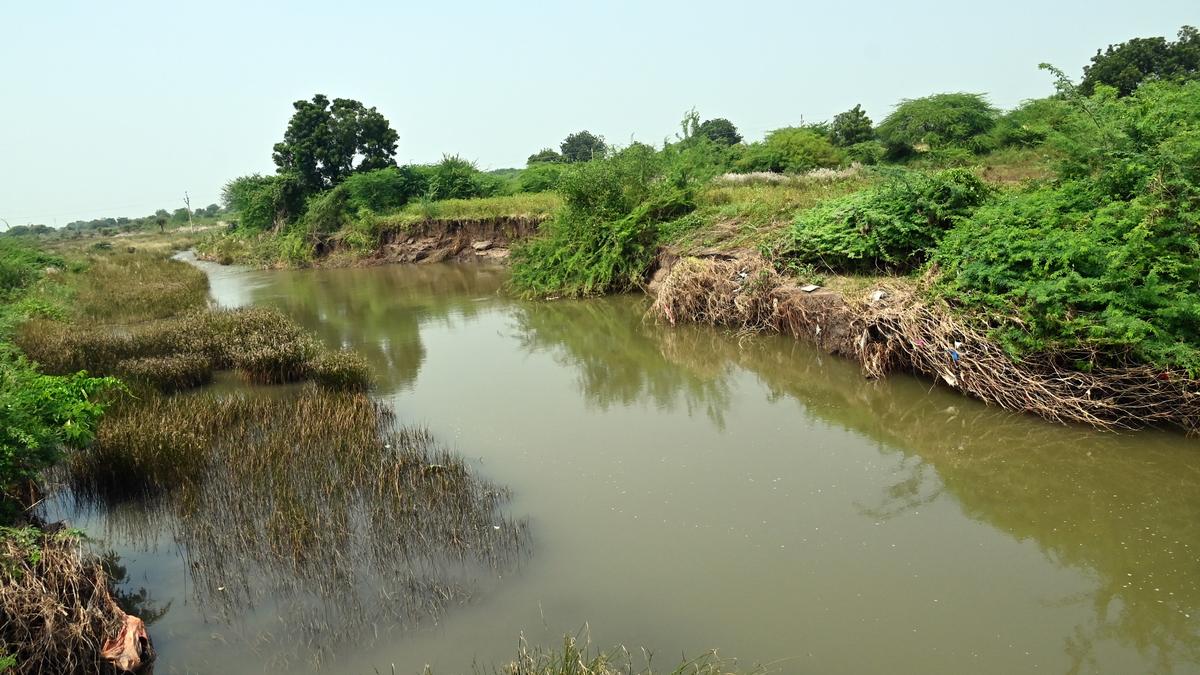 Groundwater level dipped in Afzalpur, Aland, Chincholi, but rose in Kamalapur taluk in Kalaburagi district