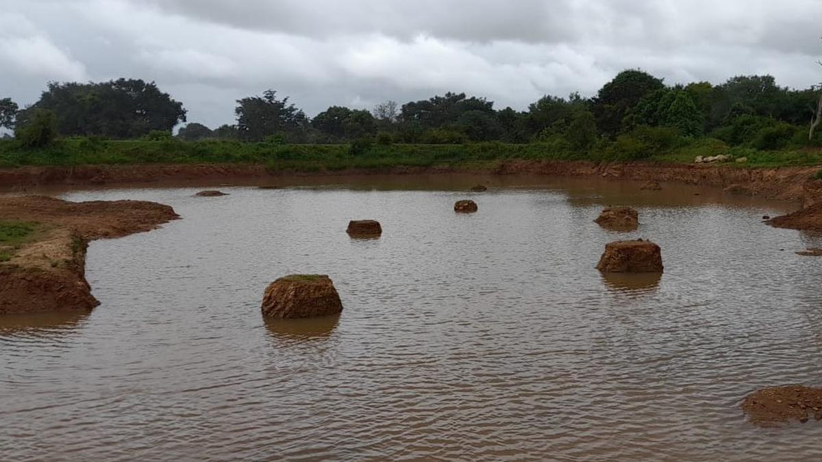 Water retention capacity in 20 lakes augmented in Mysuru The Hindu