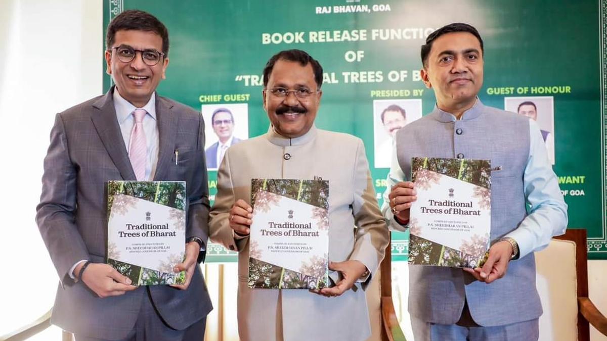 Reduce greenhouse emissions to protect the poor and marginalised sections, says CJI