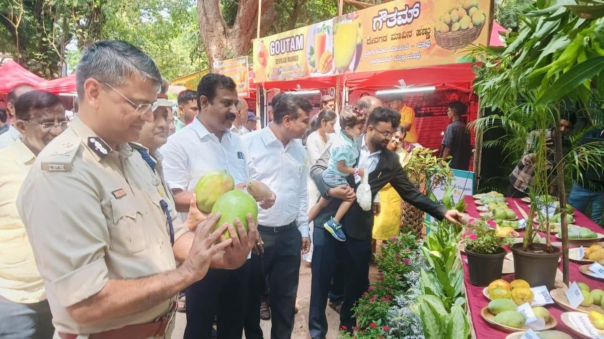 Mango Mela in Belagavi achieves significant success
