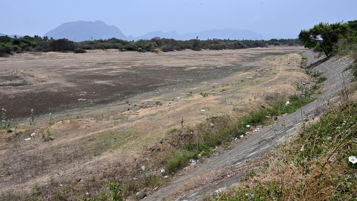Belated summer shower in parts of Coimbatore balms anxiety of farming community reeling in dry conditions