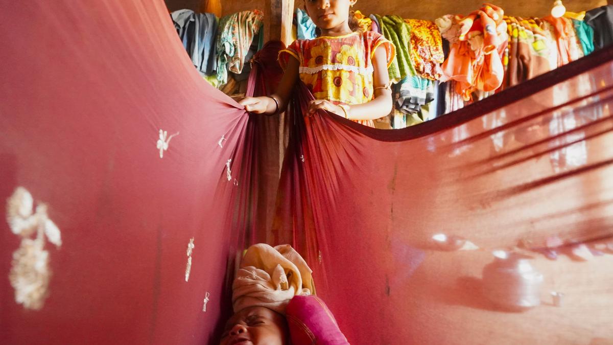 ‘Native Speakers’ to keep Koya language alive among soon-to-be displaced tribal children in Chintoor agency of Andhra Pradesh