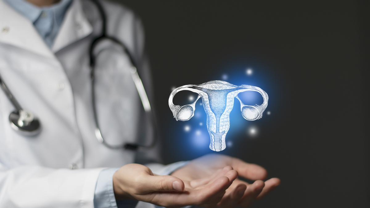 What is a uterus transplant? | Explained
Premium