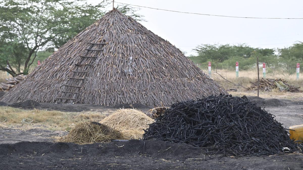 Tamil Nadu election 2026: Development of Tiruchuli constituency challenging