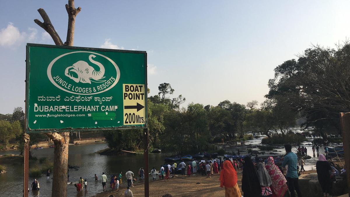 Dubare closes to visitors until safety protocols are framed