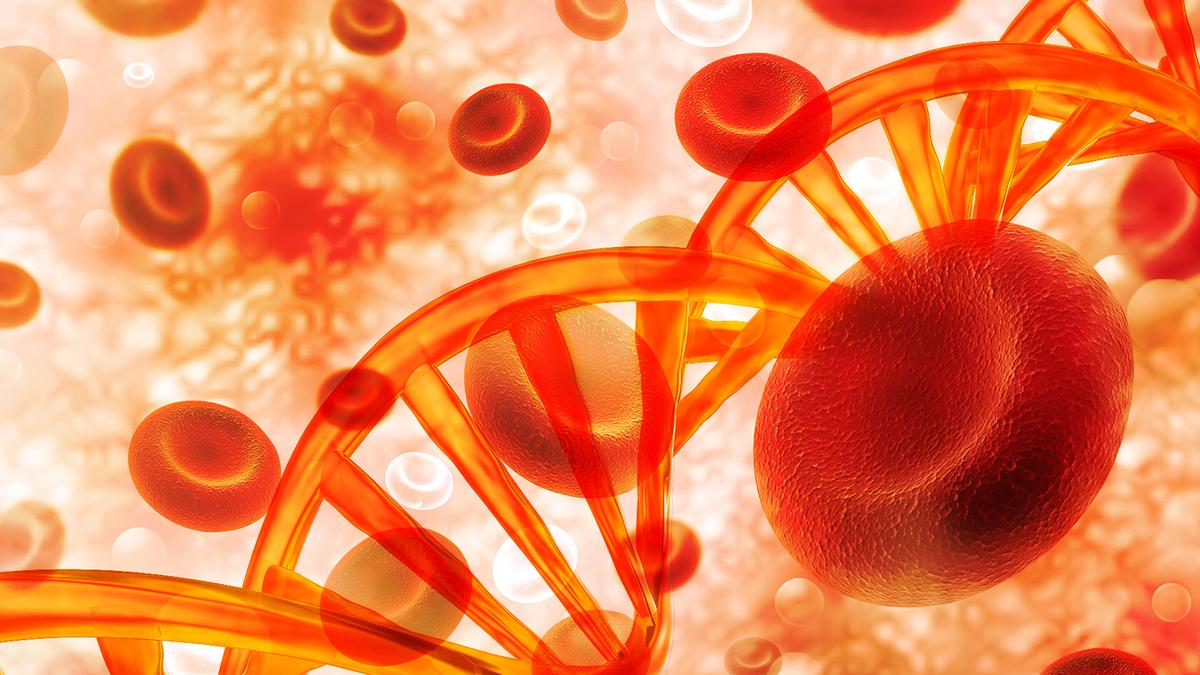 GSK's blood cancer drug gets EU approval