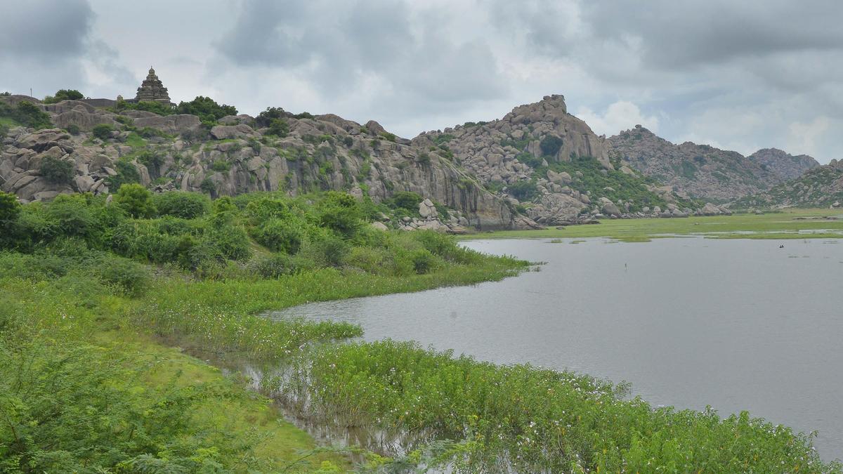 Tamil Nadu election 2026: In Vikravandi constituency, DMK and PMK to lock horns again