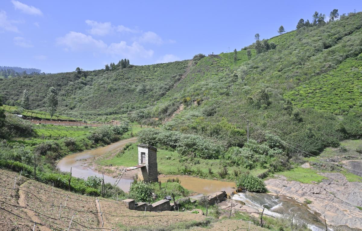 Saving Sillahalla, the proposed hydroelectric project site in the Nilgiris  - The Hindu