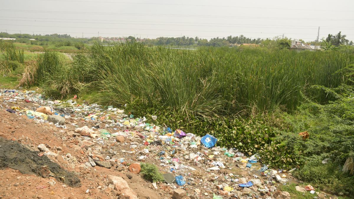 Real estate boom along bypass between Panjapur and Mathur leads to littering