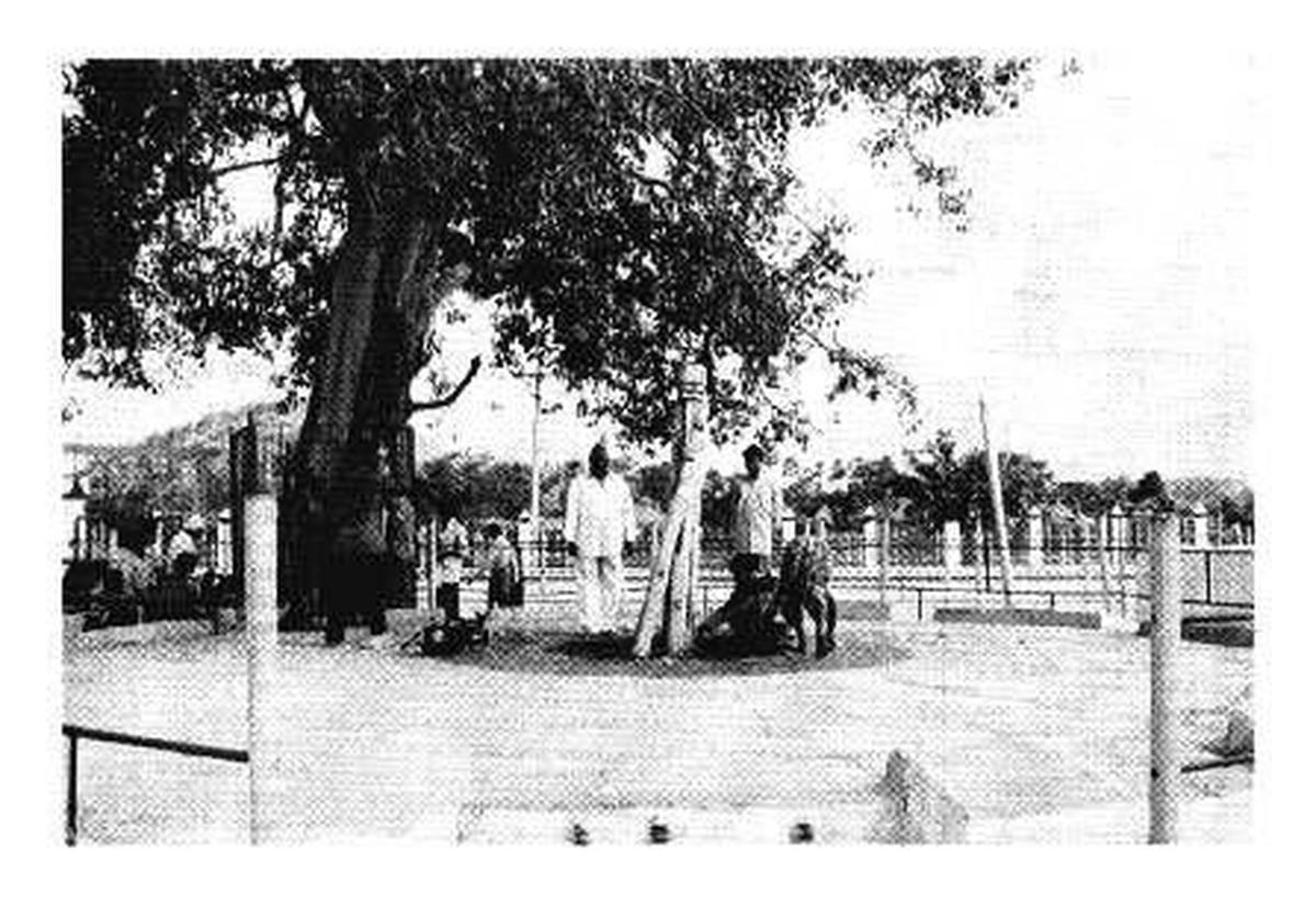 A plataforma com o símbolo de Sammakka, a divindade presidente, no local Medaram Jatara. A plataforma com o símbolo de Sammakka, a divindade presidente, no local Medaram Jatara.