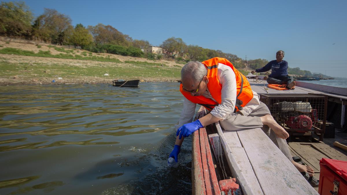 Why is environmental surveillance important? | Explained
Premium