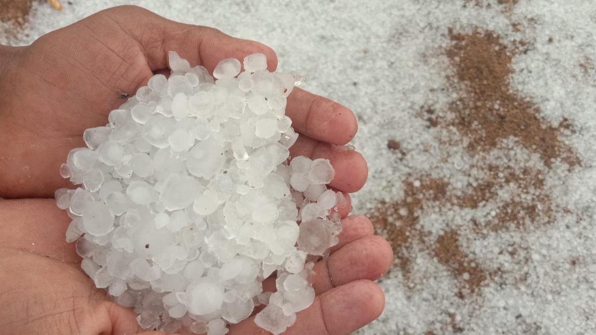Hailstorm and rain batters many parts of Telangana
