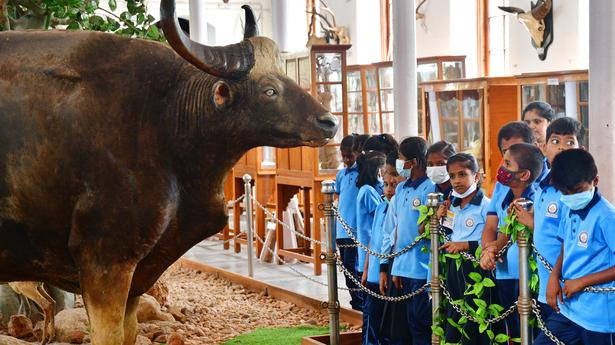 Gass Forest Museum in Coimbatore is now open for visitors