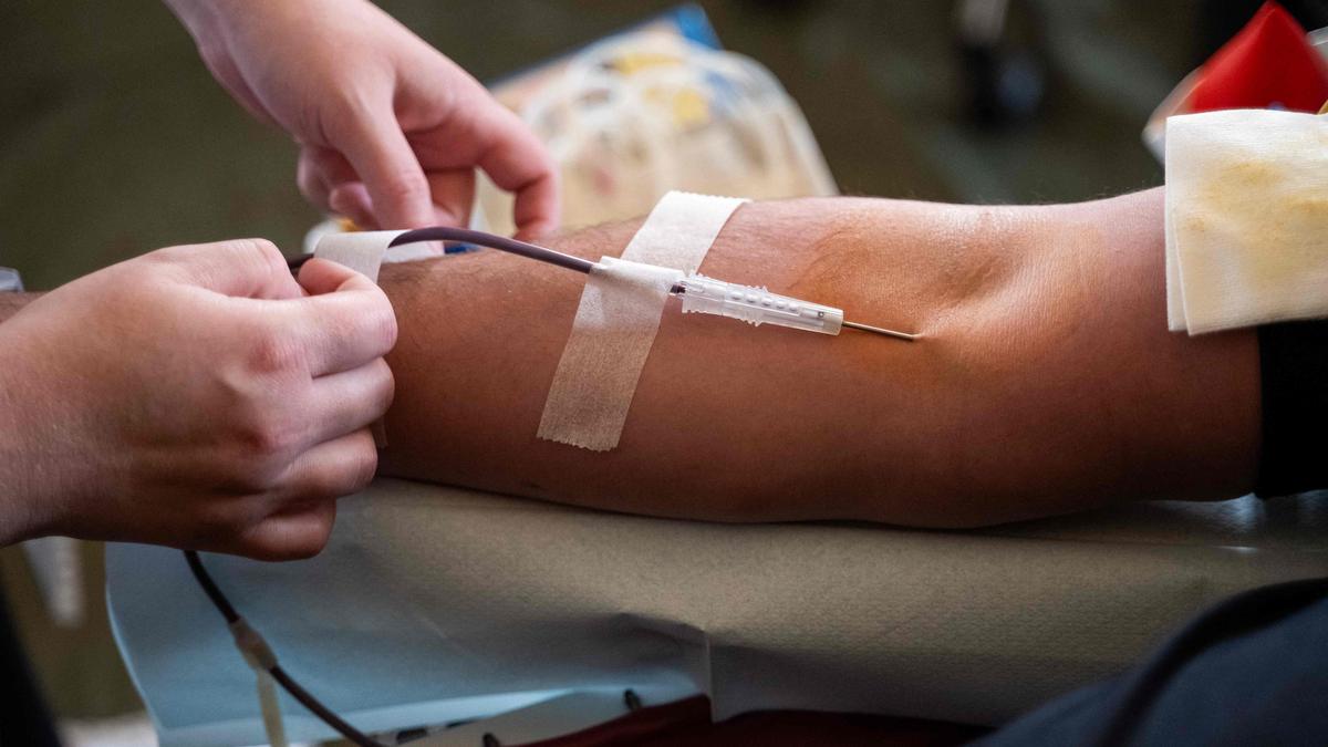 Karnataka recorded an estimated 8,690 blood cancer cases in 2025: Kidwai data