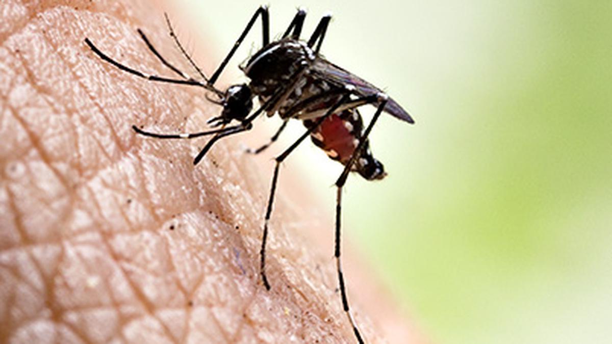 Dengue threat: Chief secretary holds review meeting
