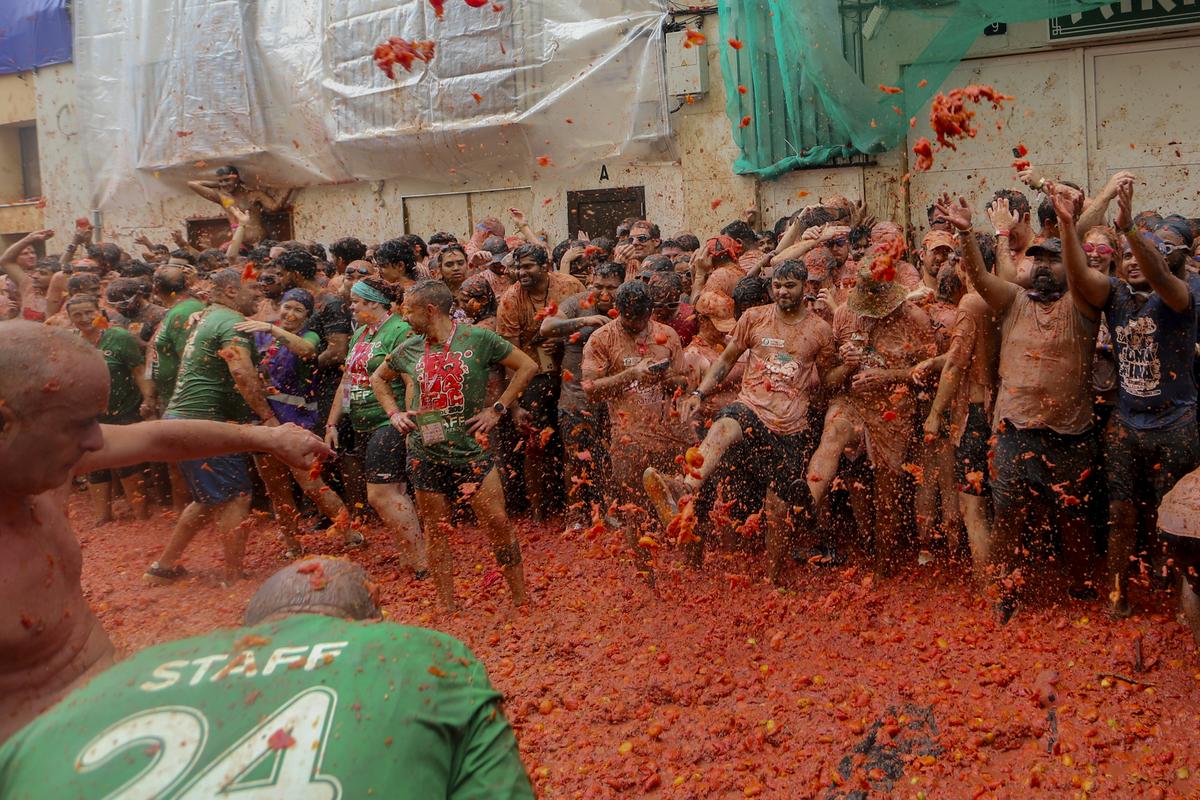 Spain Tomatina 55678