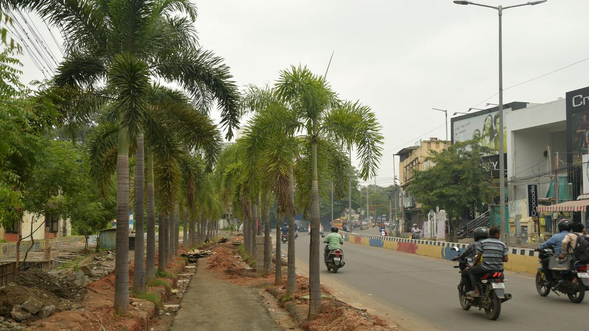 Work on upgradation of roadside park on Lawsons Road in Tiruchi begins