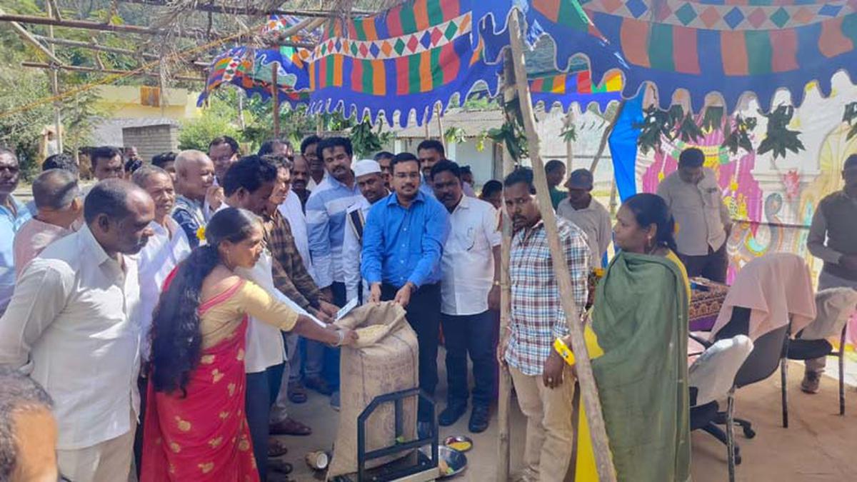 GCC starts procurement of coffee beans from tribal farmers in Andhra Pradesh