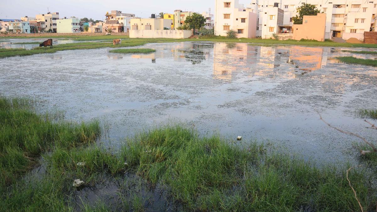 All OSR lands in Chennai to get sumps to conserve rainwater and mitigate floods