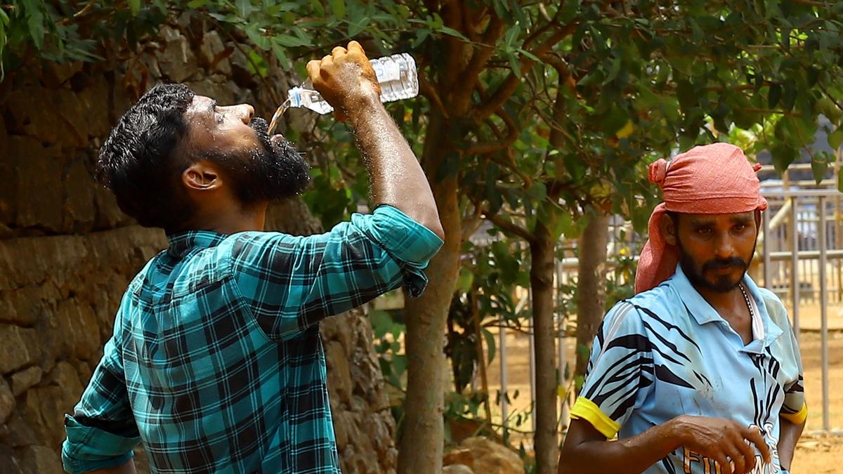 Kerala on the brink of heatwave, Chief Minister calls for ‘self-lockdown’