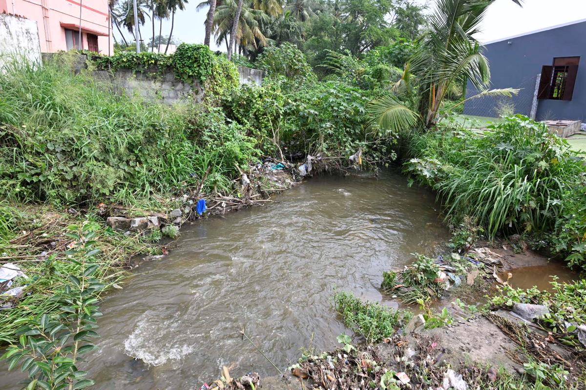 Bushes preventing the flow of water at a sewage channel at Kattabomman Street in Kollampalayam in Erode