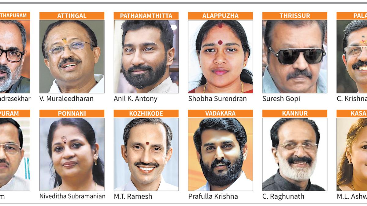 Lok Sabha poll: BJP fields a mix of high-profile veterans and new faces ...