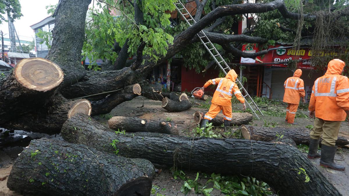 Heavy rain, strong winds make life miserable in coastal, low-lying areas in Ernakulam